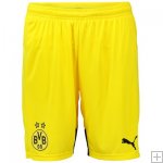 Short Borussia Dortmund 2015/16 - Third